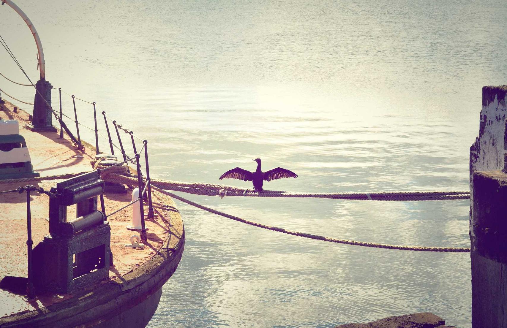 5G实名流量卡- 闵行区注册公司代理费标准