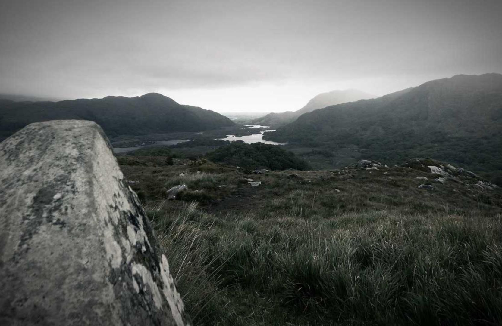 DDOS网页端|瑞安注册会计代理规划