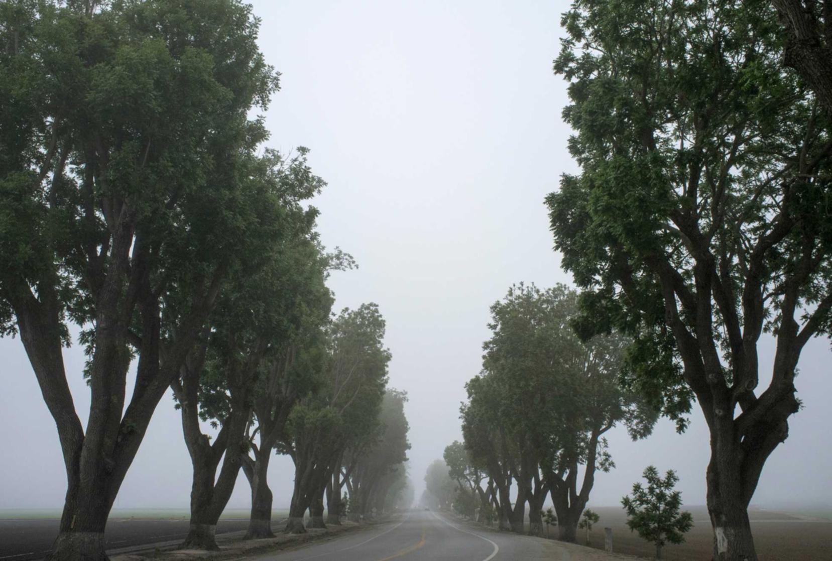 至尊香蕉app详情下载教程影业