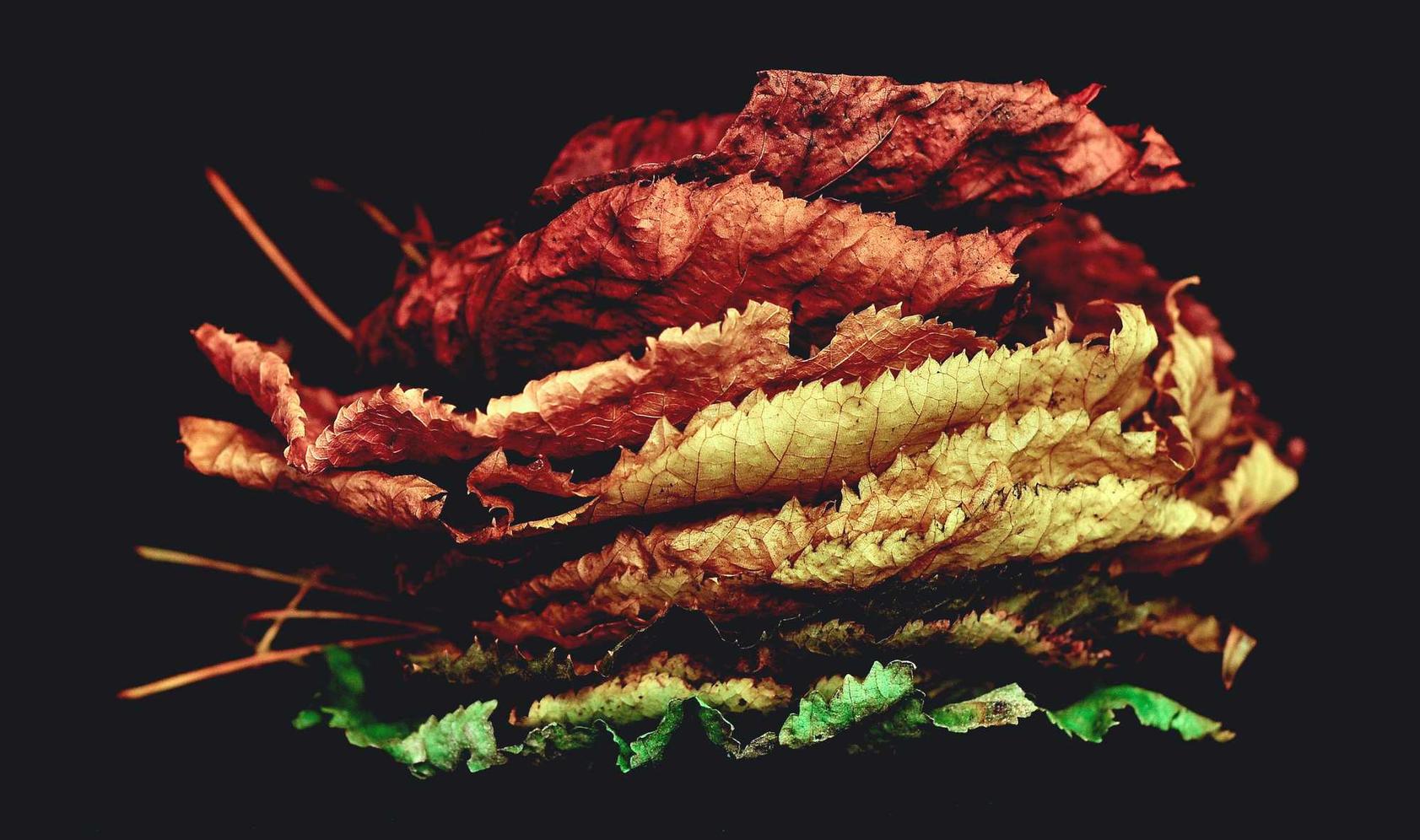 华为云实名账号：The Best Data Card Plans for Home Automation and Smart Devices