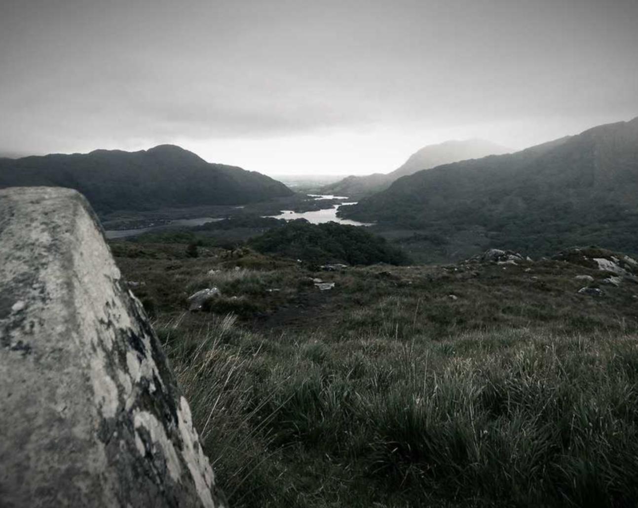 DDOS网页端|窗口相机app详情下载教程