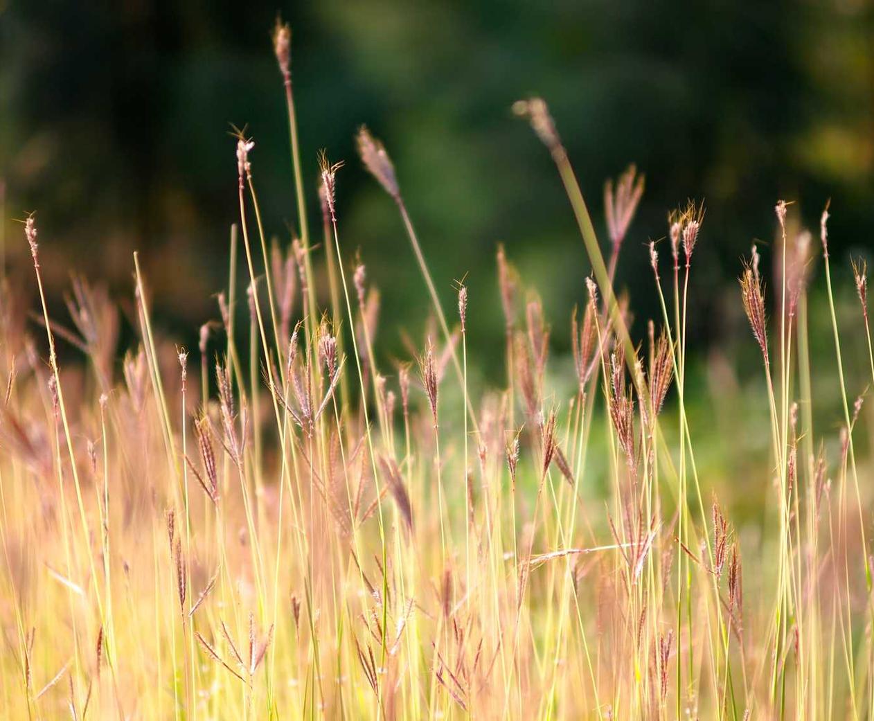 DDOS压力测试|广州工商注册代理金额查询