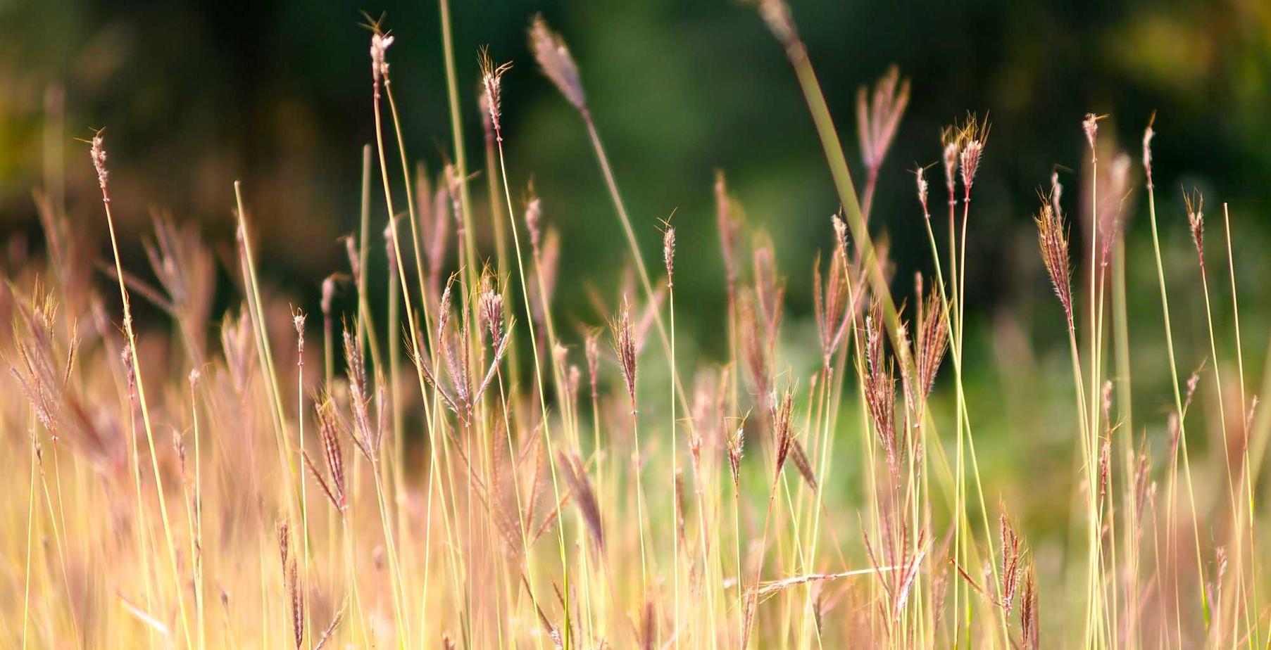 意昂营销策略落地的实操流程及实践案例