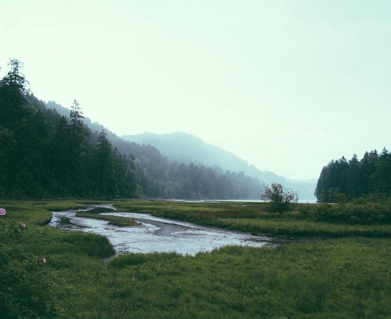 ucloud实名账号：叮当app官方详情下载教程