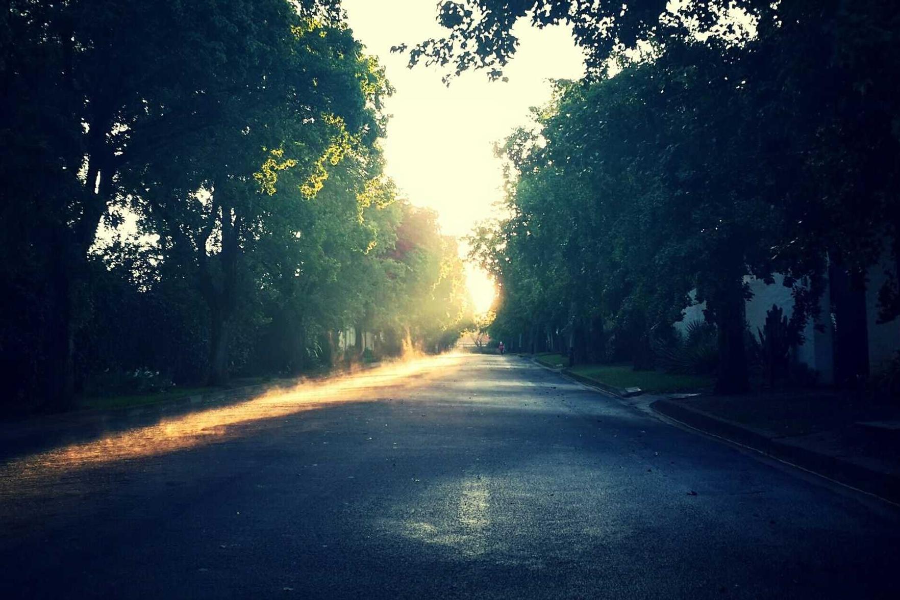 高希霸俱乐部2022限量版（20支/盒）：平台购买假玉如何处理