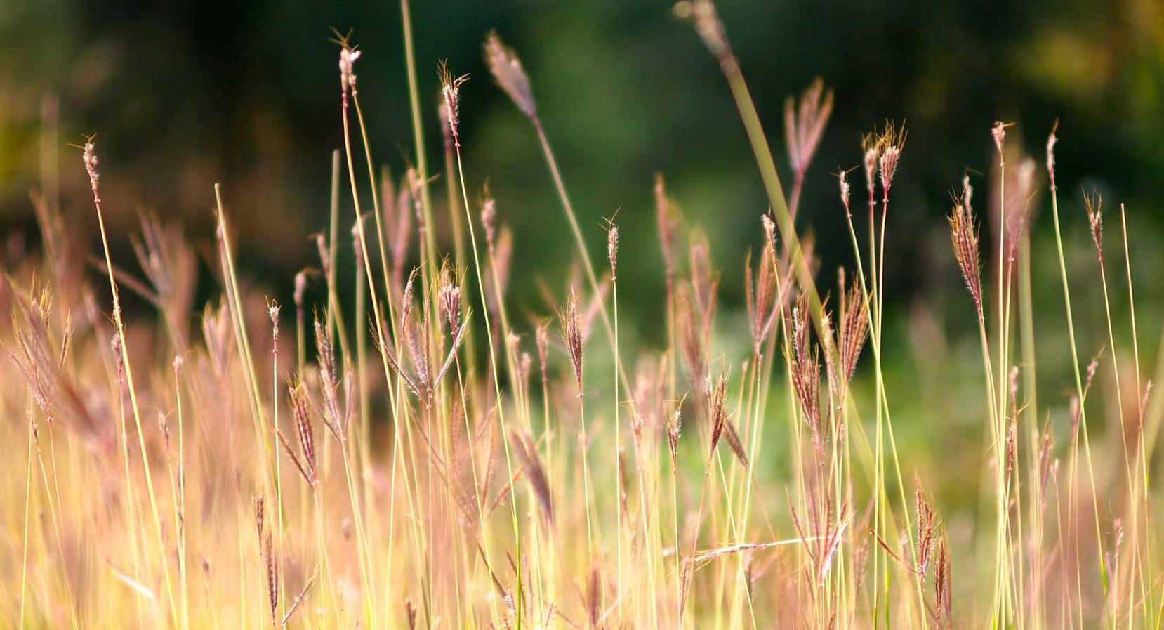 知乎实名账号：琼山代理公司注册条件要求