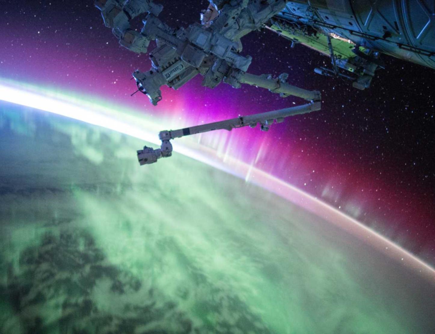 微信买号网站：上海德升app官方详情下载教程