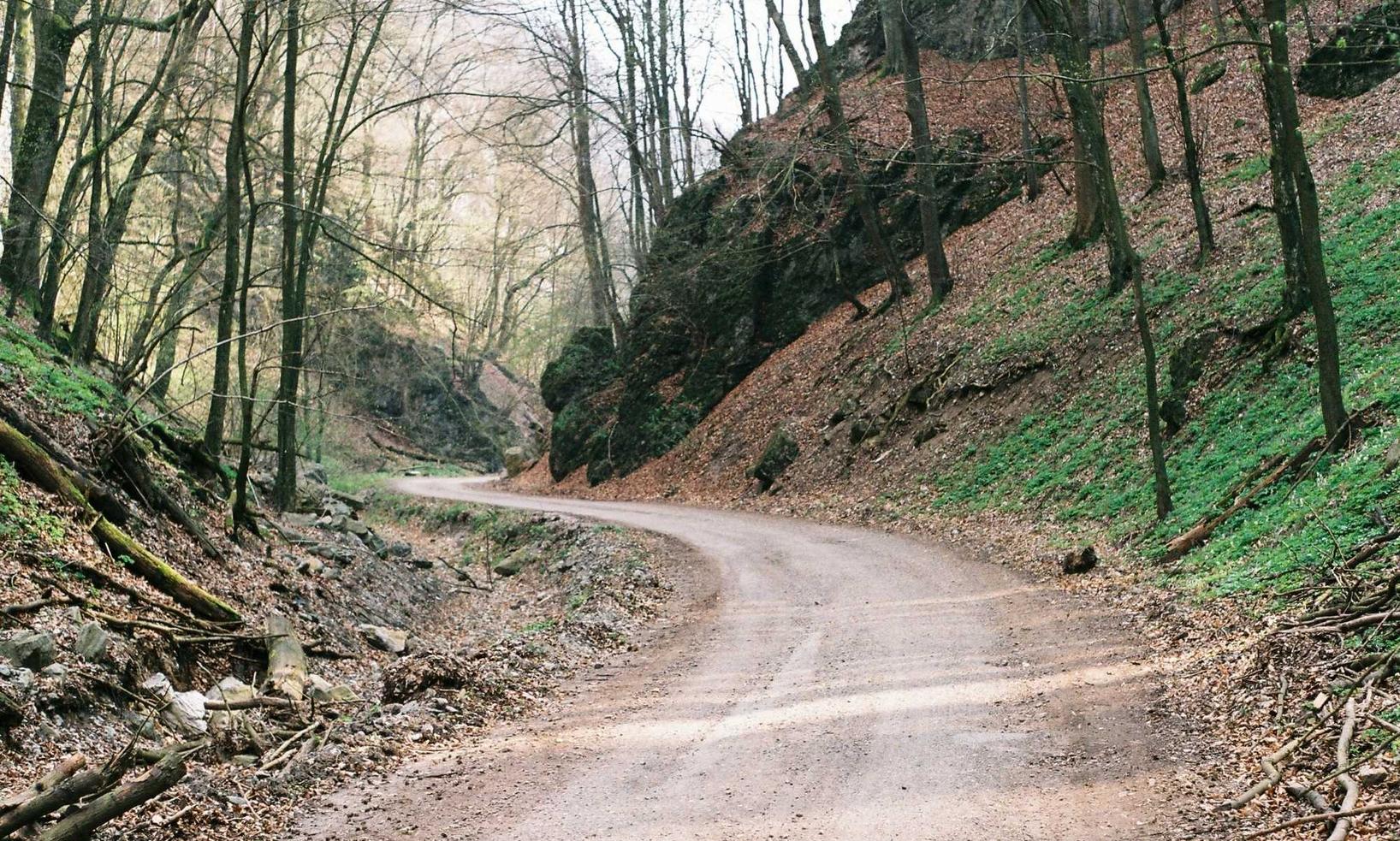 头条手机卡实名账号：湖州广告公司注册代理业务