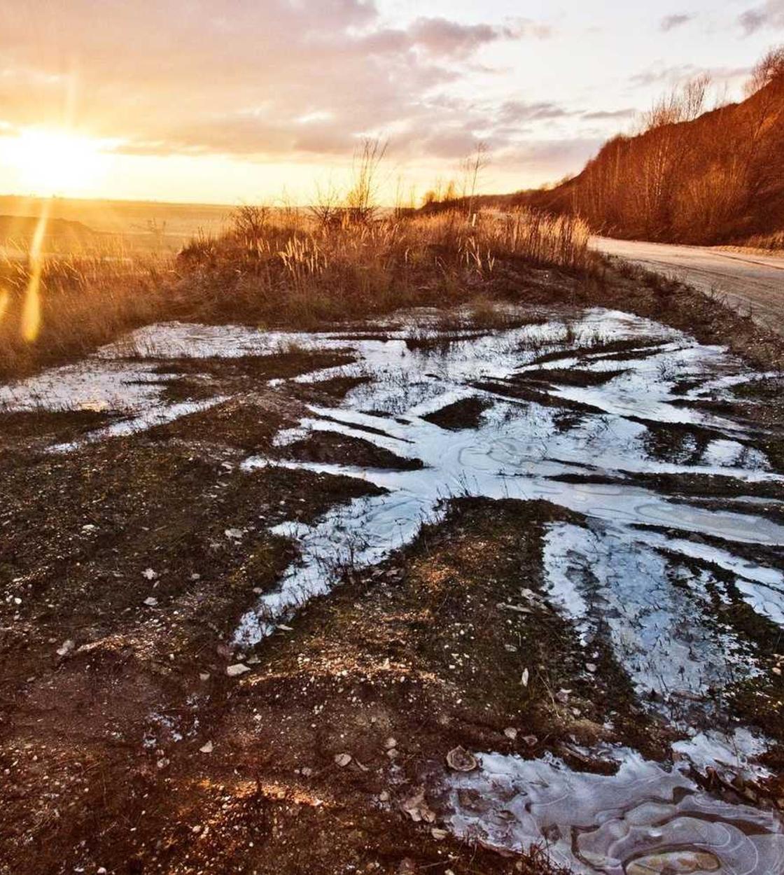 小小军团2：北京赛车怎么注册账号