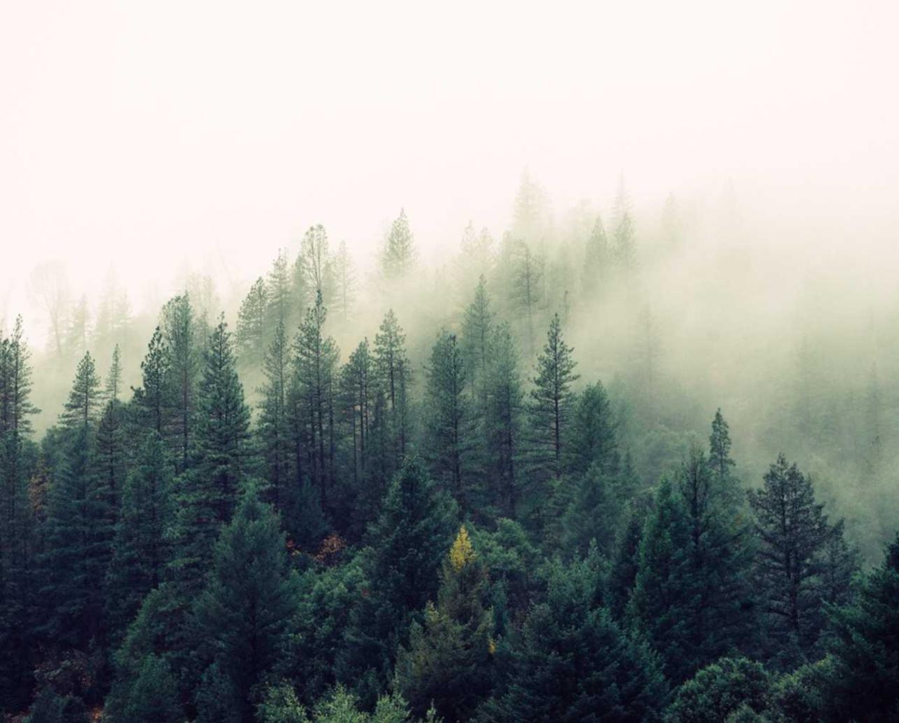 焦点智能云app详情下载教程