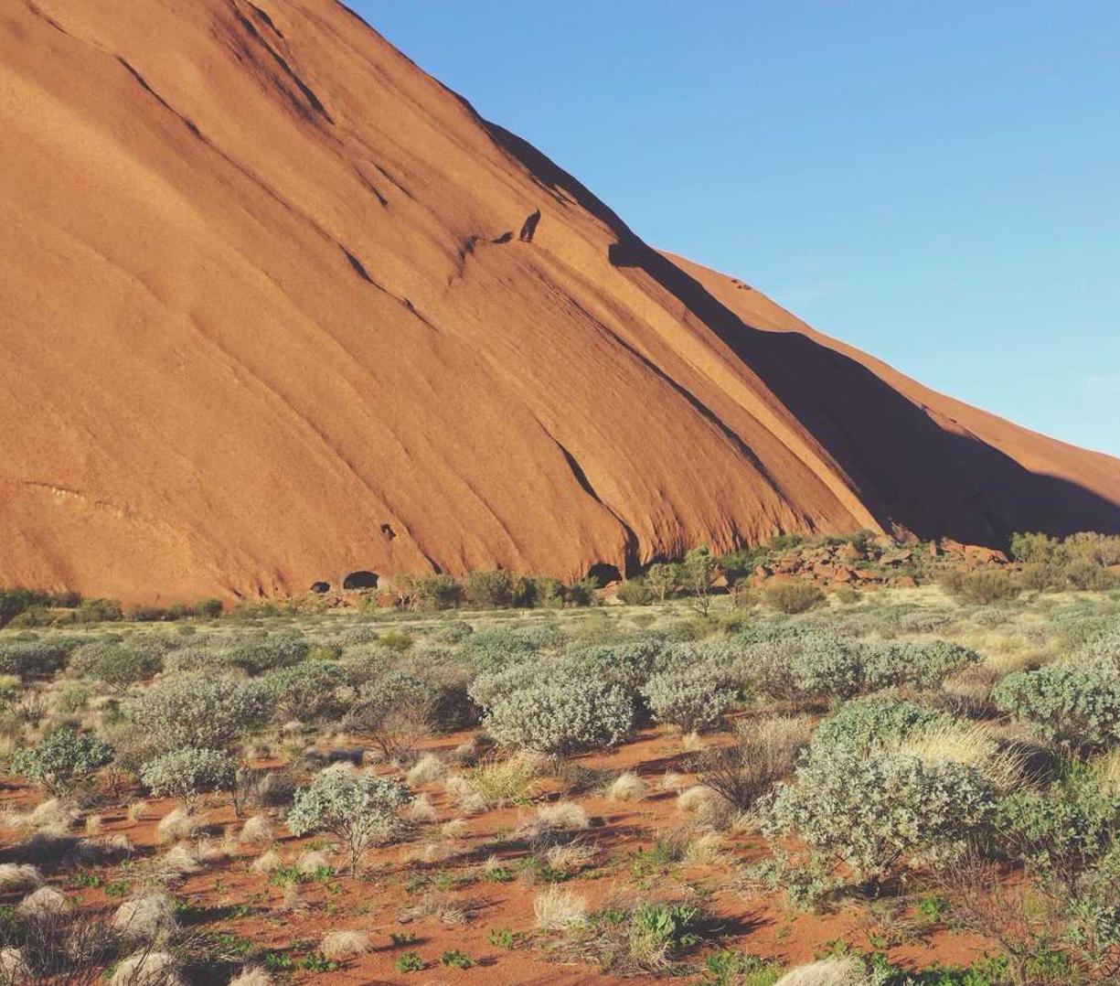铁盒柔和七星蓝莓笔记本爆珠：期货开户平台有哪些类型