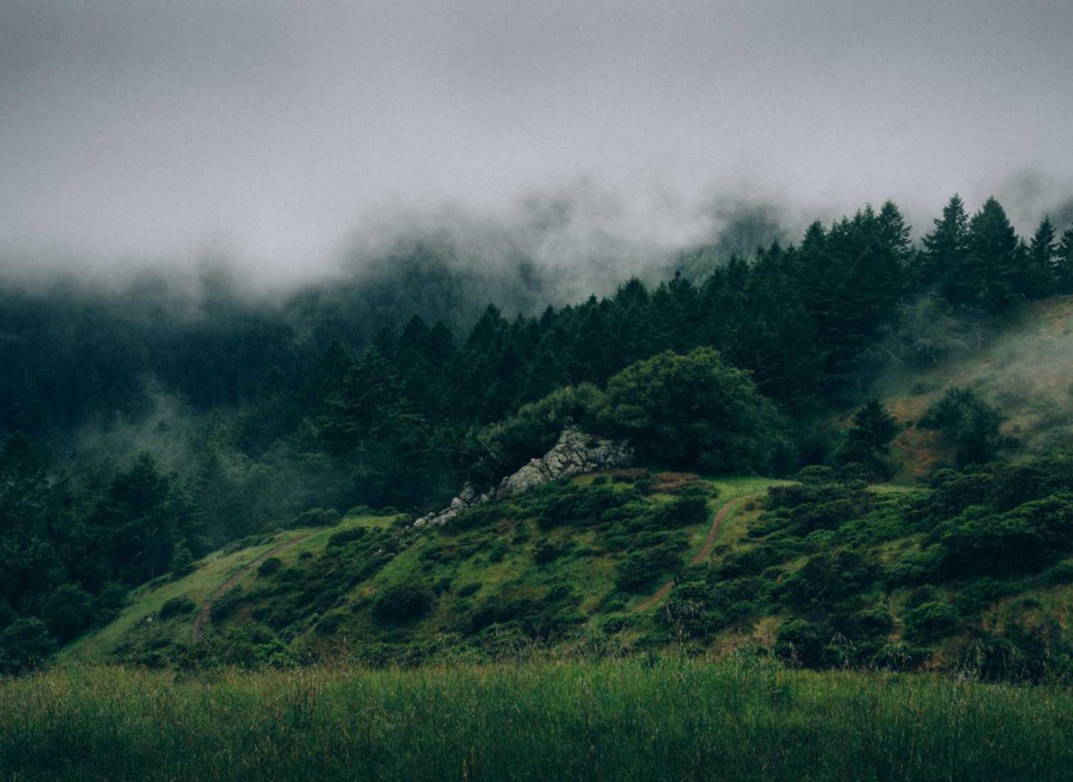 Peel百乐哈密瓜爆珠：联想自带邮件怎么注册账号