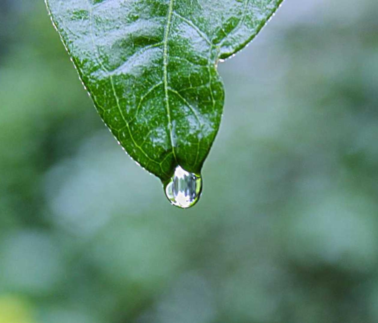 vx买卖:第一天注册头条账号是什么