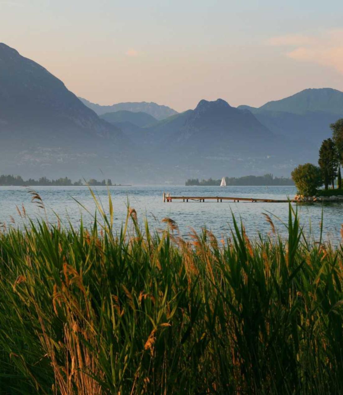 交通规则和游戏技术支持的共通点 