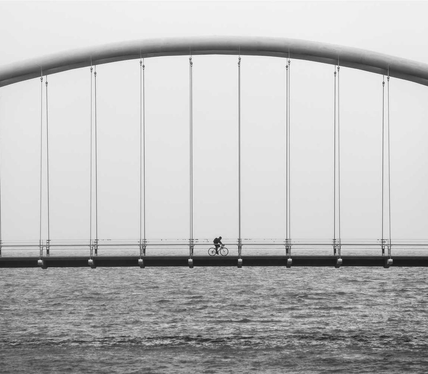 优酷移动实名账号：网络打鱼游戏代理平台