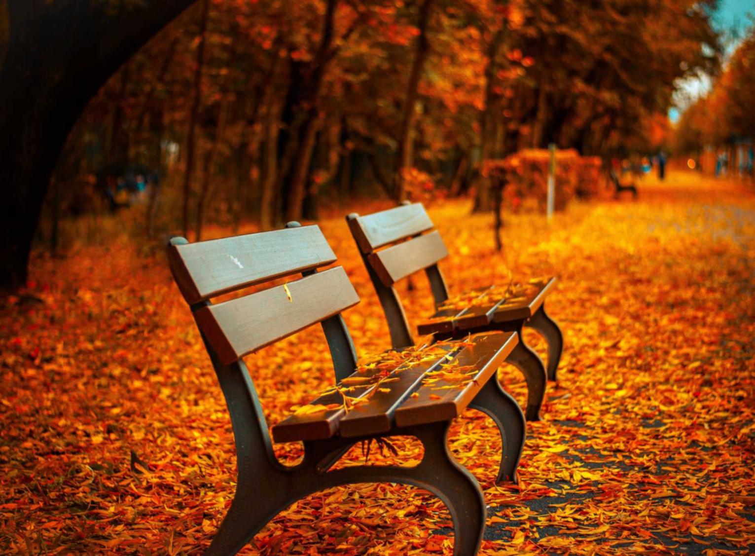 各类app实名实名账号：app store详情下载教程更换id