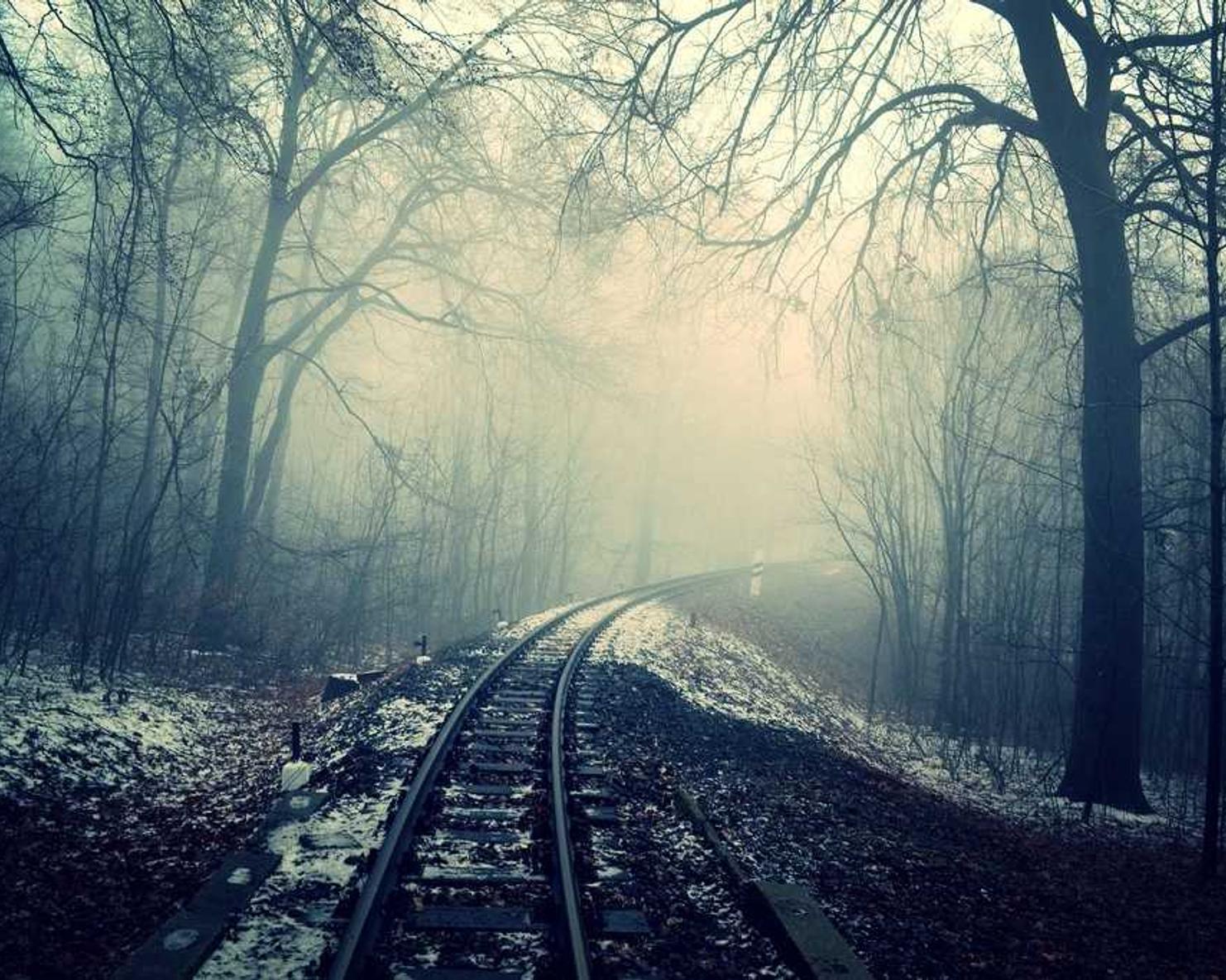 如何使用社交网站来优化您的网站内容