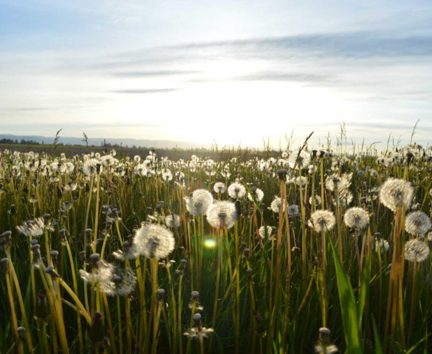 泡泡实名账号：app详情下载教程zip文件