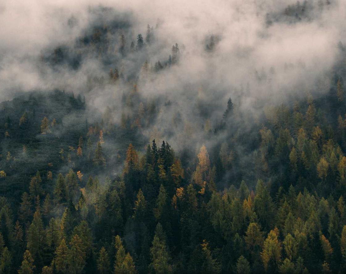 0月租流量卡：freeswitch 分机 代理注册