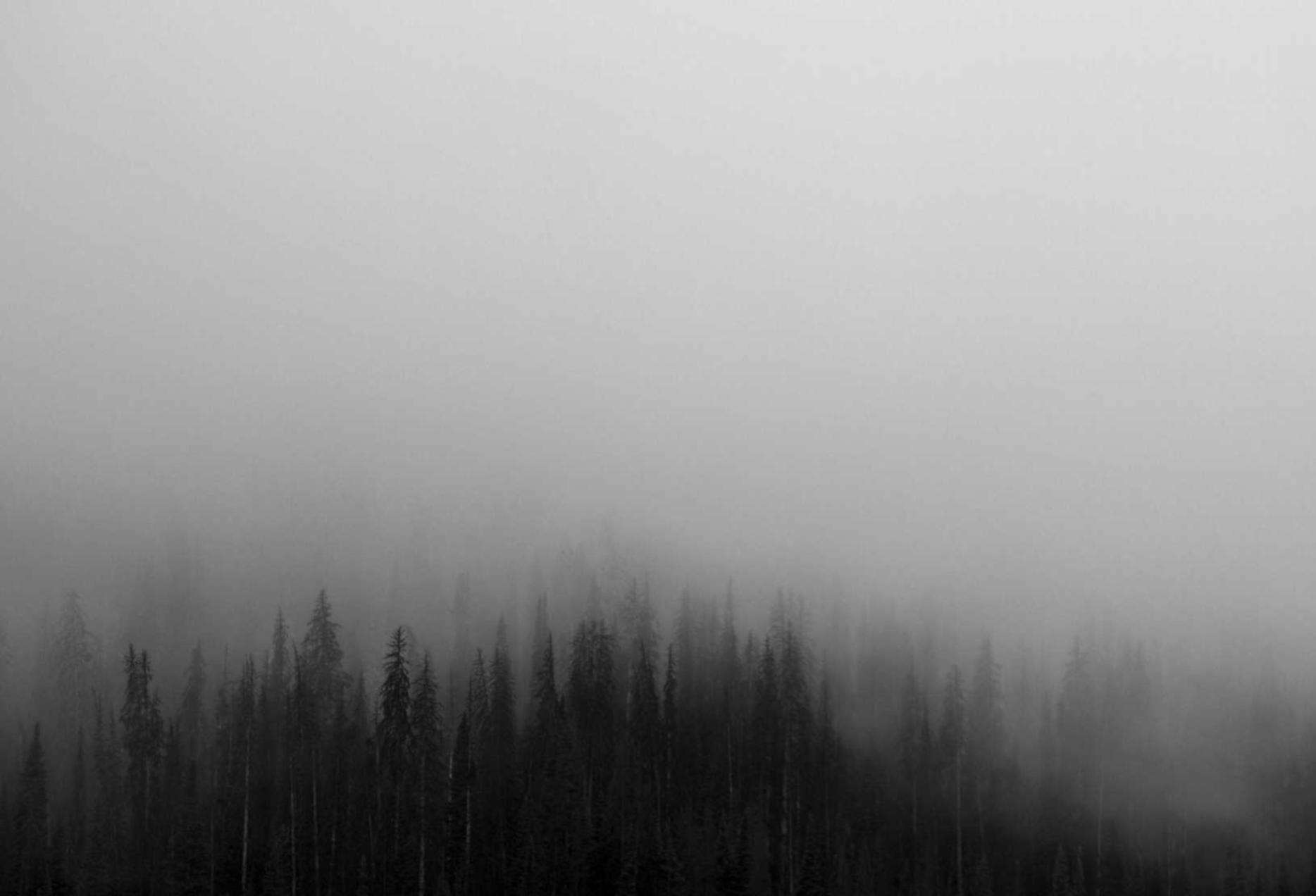 苍之骑士团2：ns购买平台