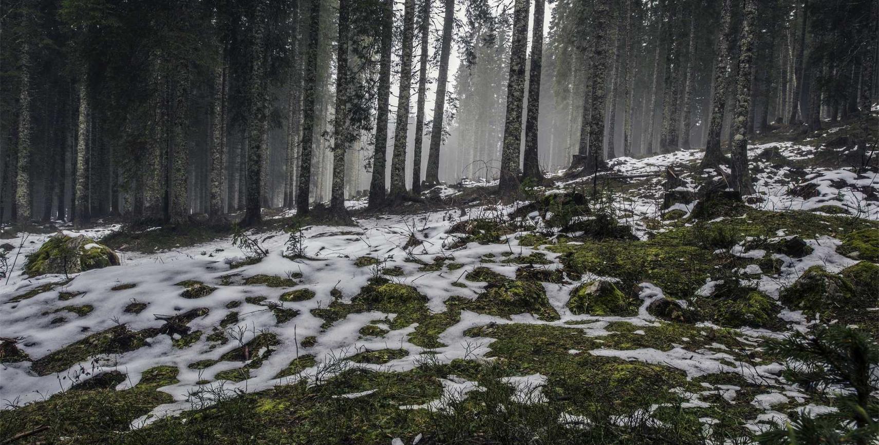 在线DDOS平台攻击|掌上豆苗app详情下载教程