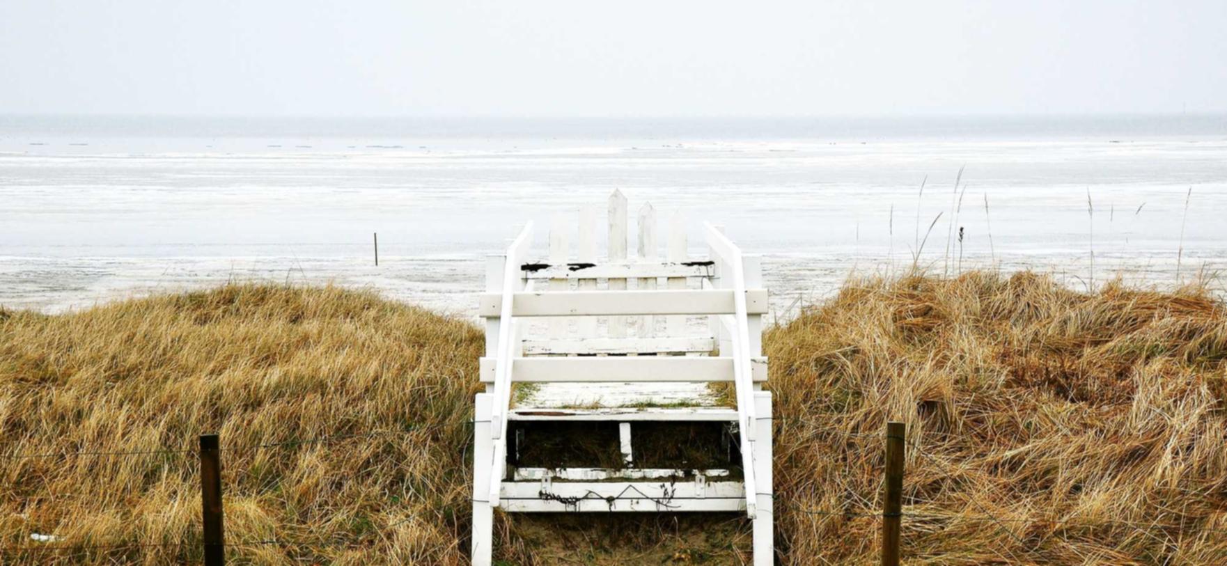 摩根猜拳大王app详情下载教程