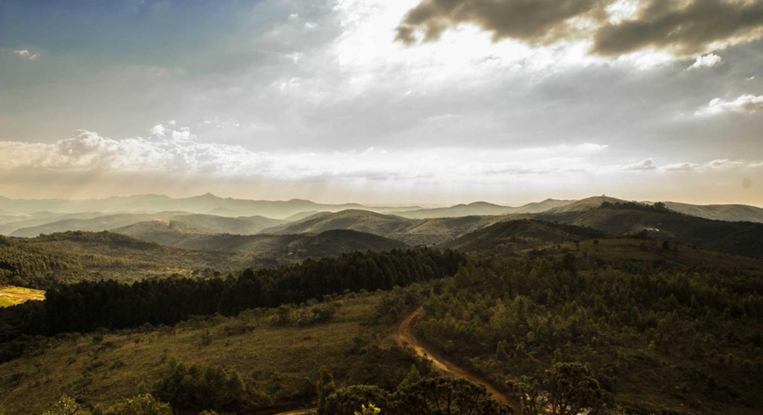 摩登5谷歌账号注册官网中文名