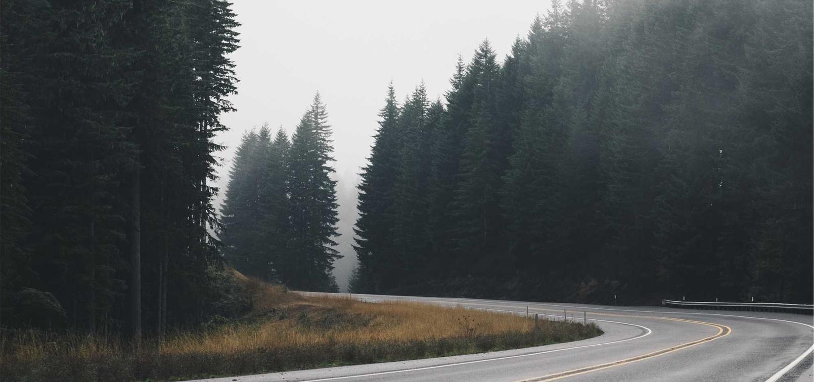 野草云实名账号：天煞网上购买平台