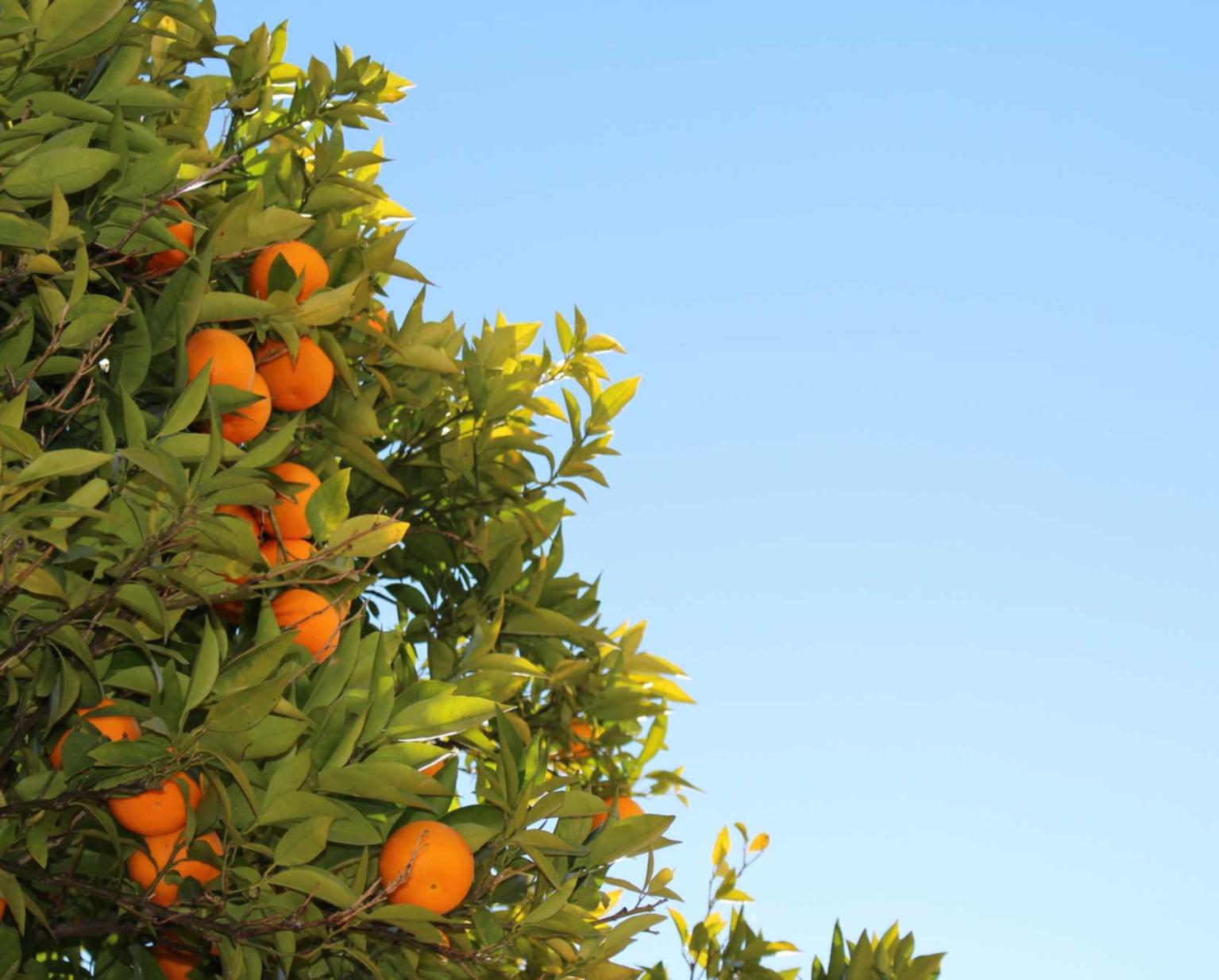 解读网页攻击平台- 韩服地下城账号注册