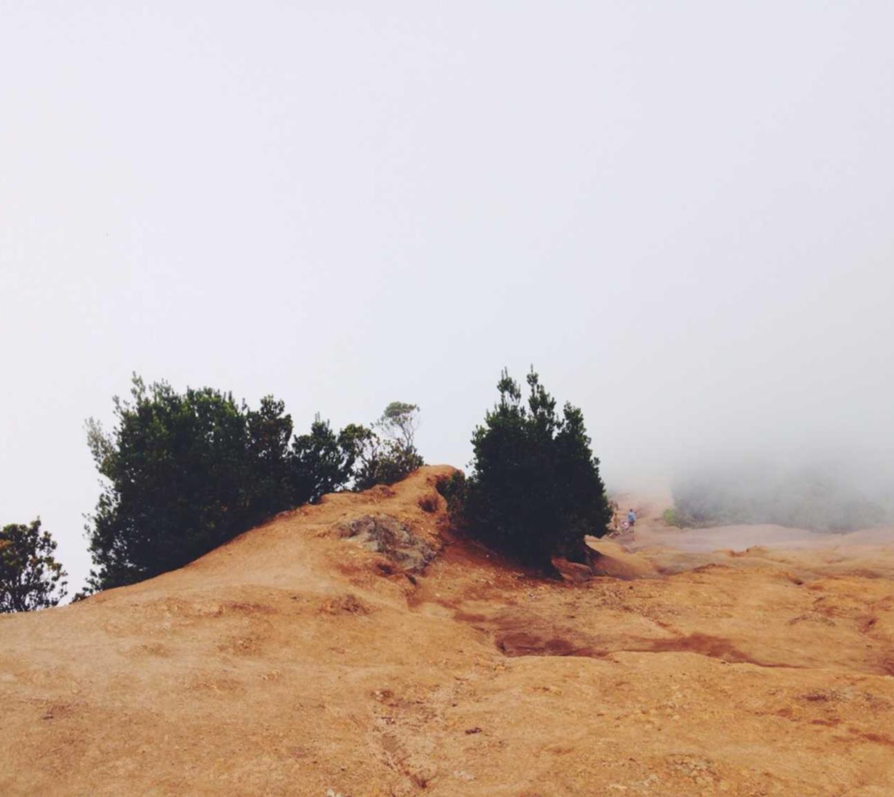 丽晶国际实名账号：各种app代理注册