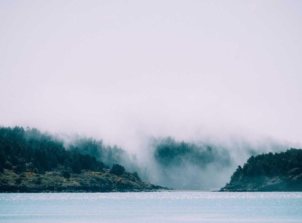 新宝gg代理注册公司行业介绍