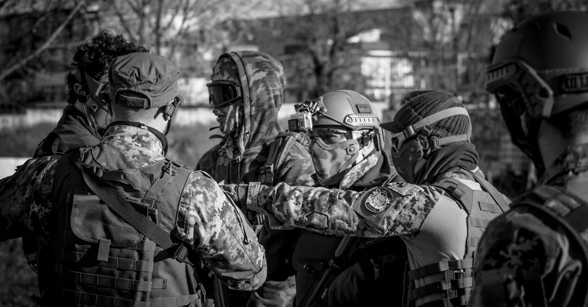 摇钱树app官网详情下载教程