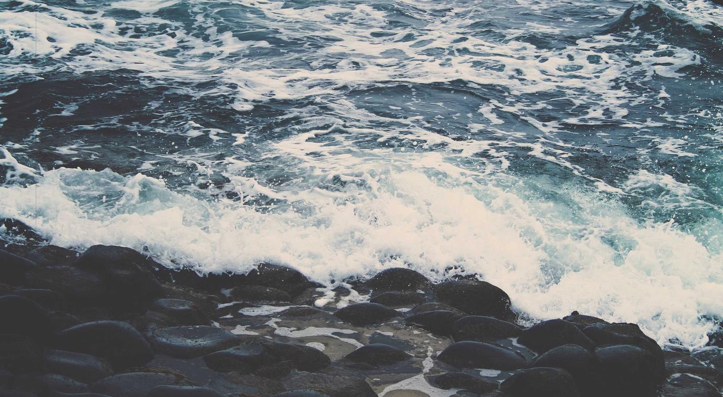 方盒中免红大卫杜夫国际版：橙子在线购买平台