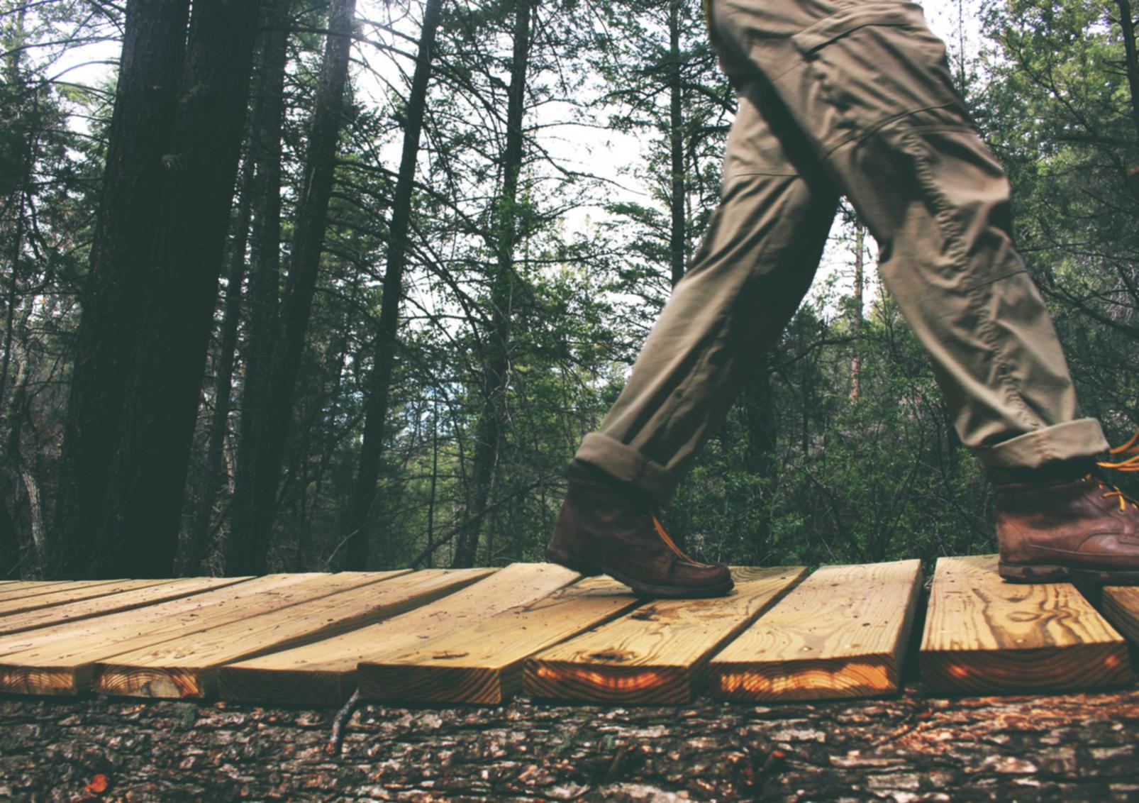 免费DDOS攻击平台|阳光保险代理平台