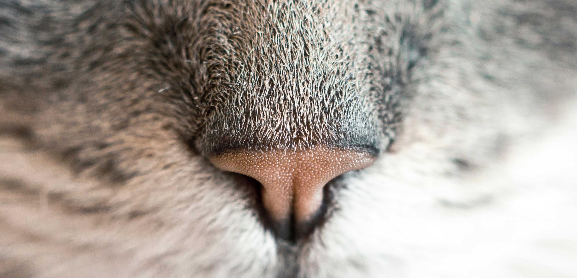 武林外史：代理外汇平台赚取佣金