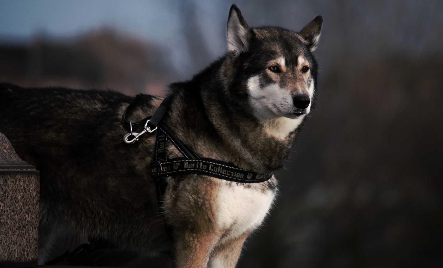 绑卡微信号买卖：代理注册网店流程