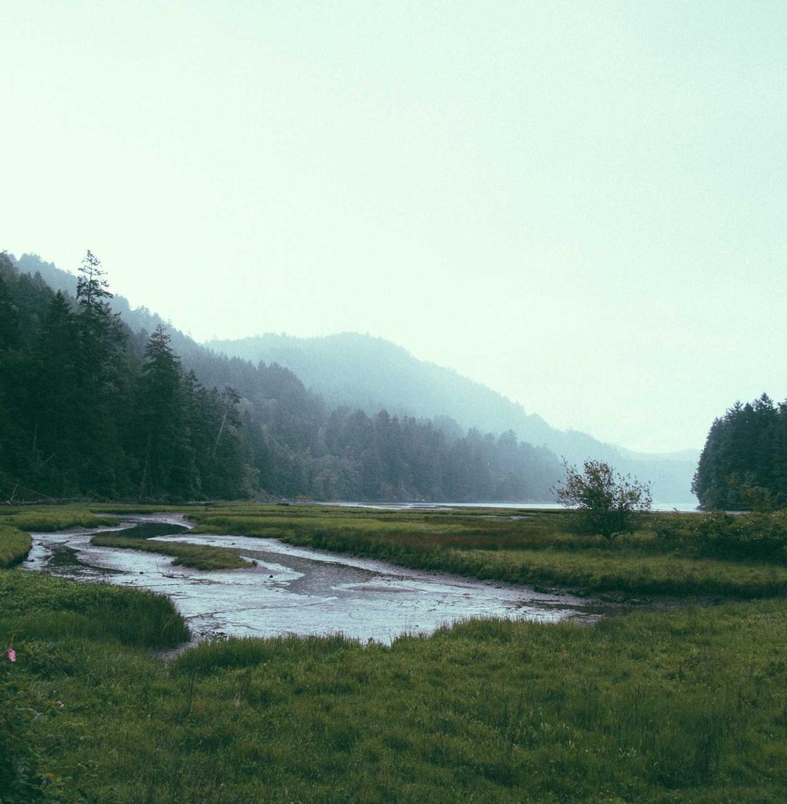 分享通信实名账号：顺达平台开户怎么开