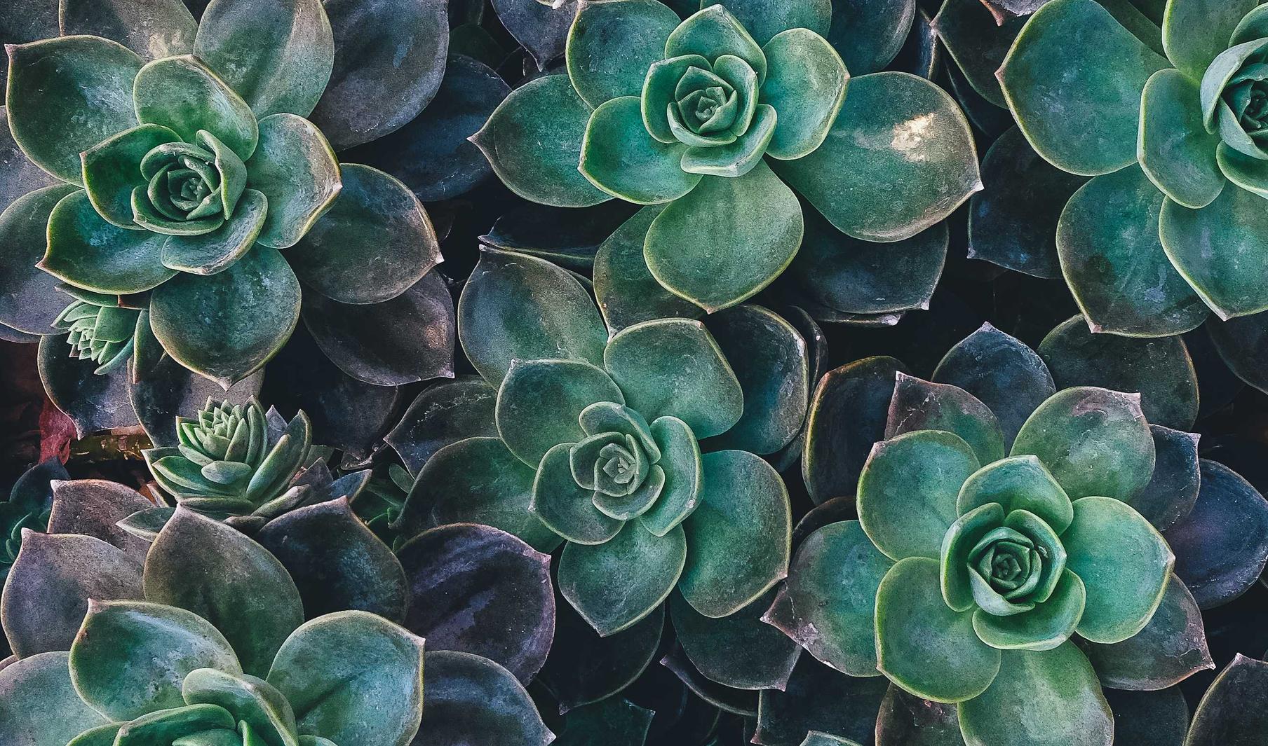 副卡实名账号：流量卡在不同季节和天气下的使用效果 