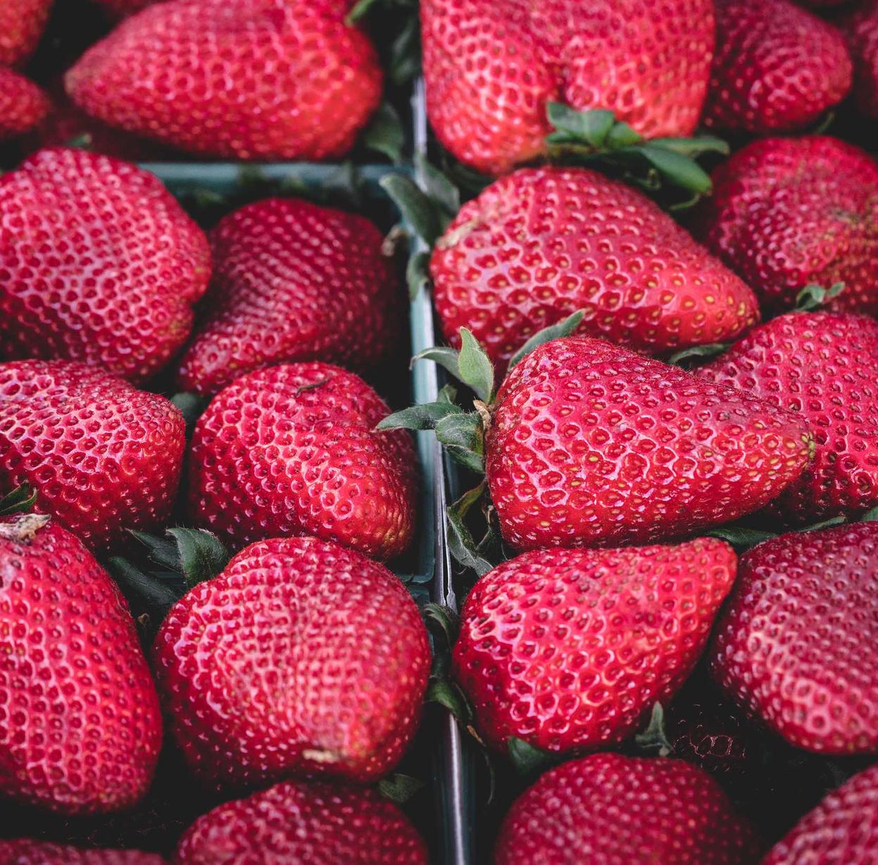 DDOS在线压力测试|游戏平台代理渠道