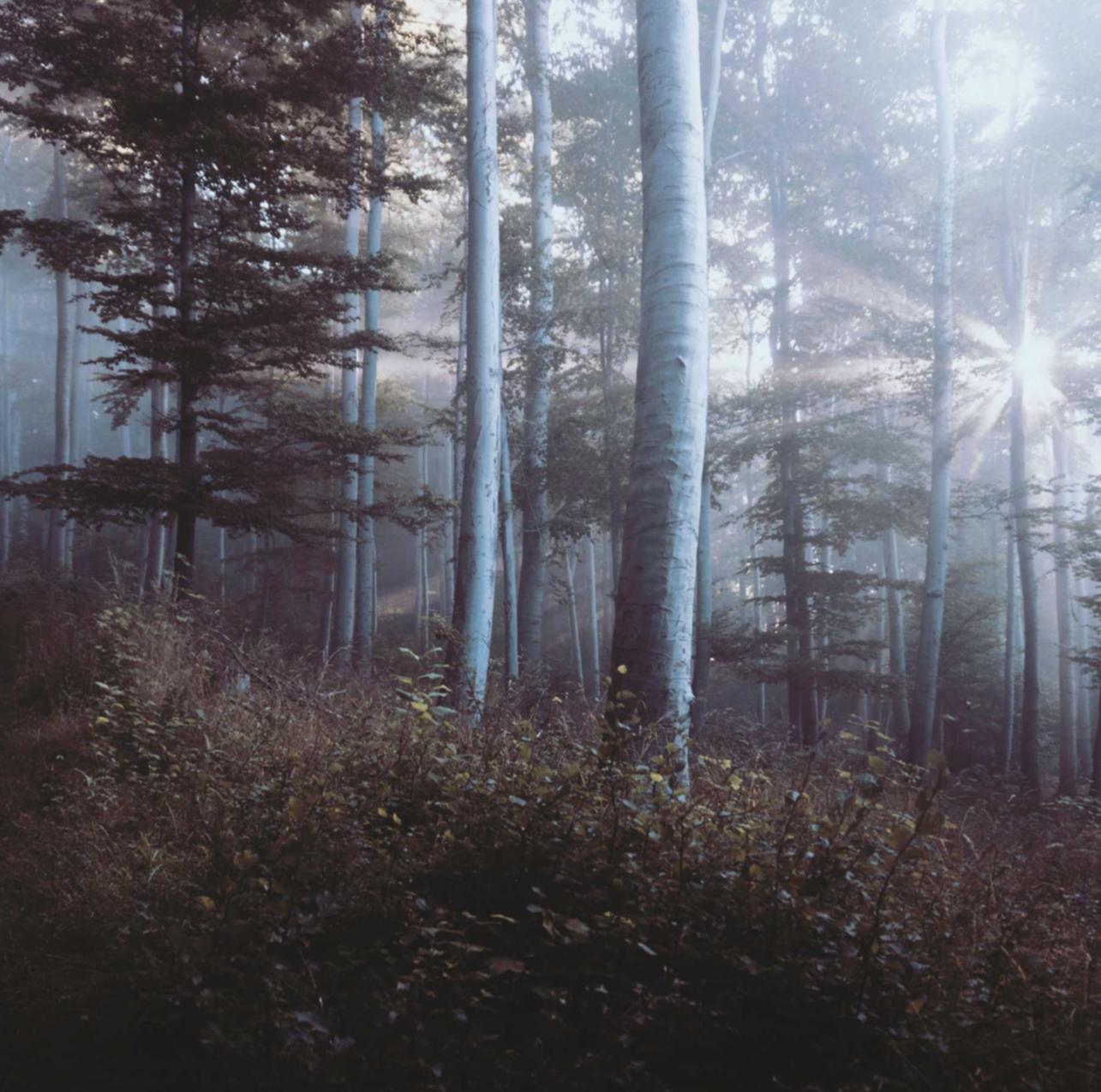 DDOS attack|什么平台可以存钱网上开户