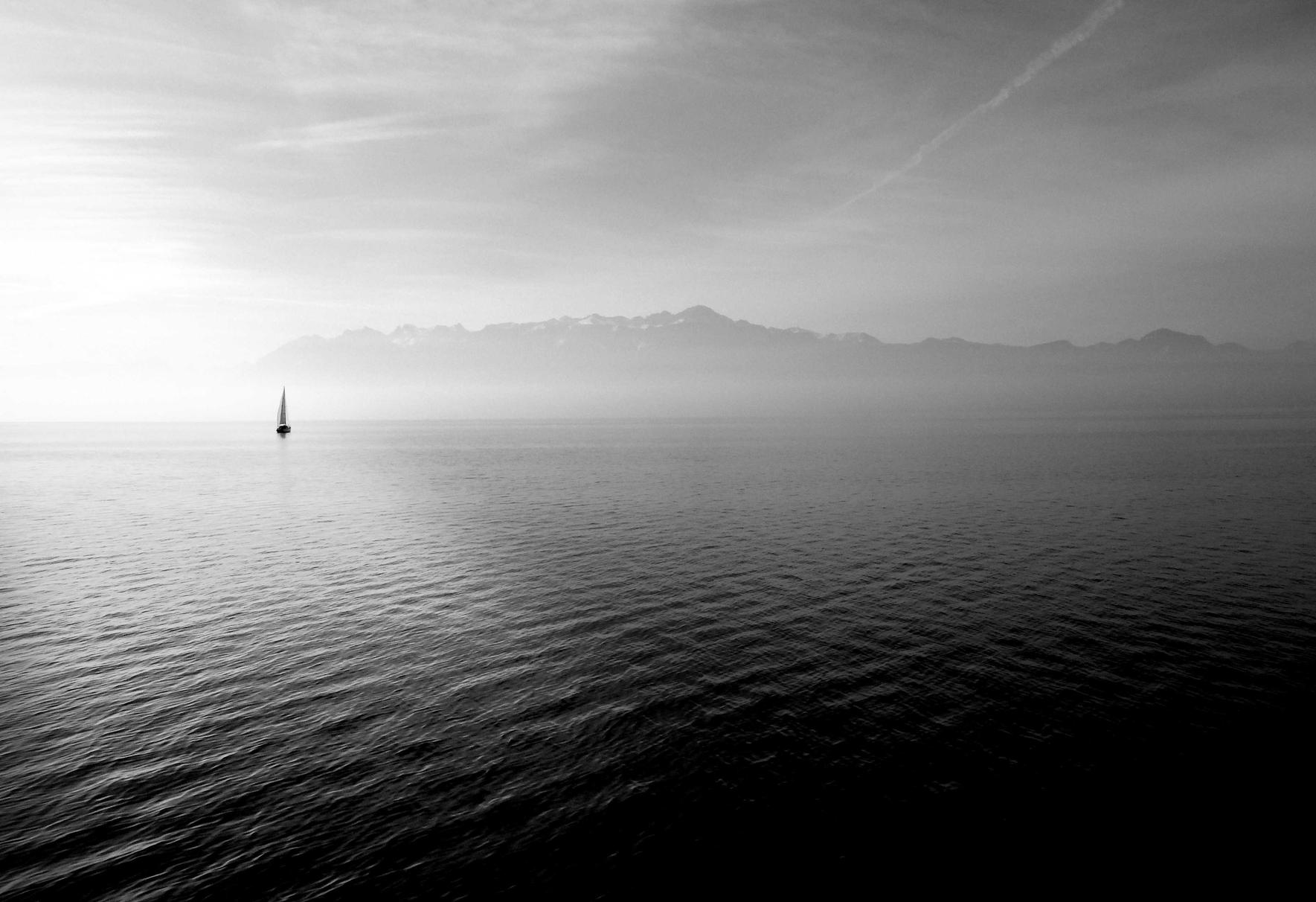 代理注册特字号