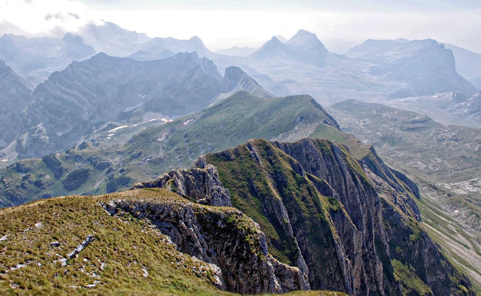 详情下载教程酥咔app