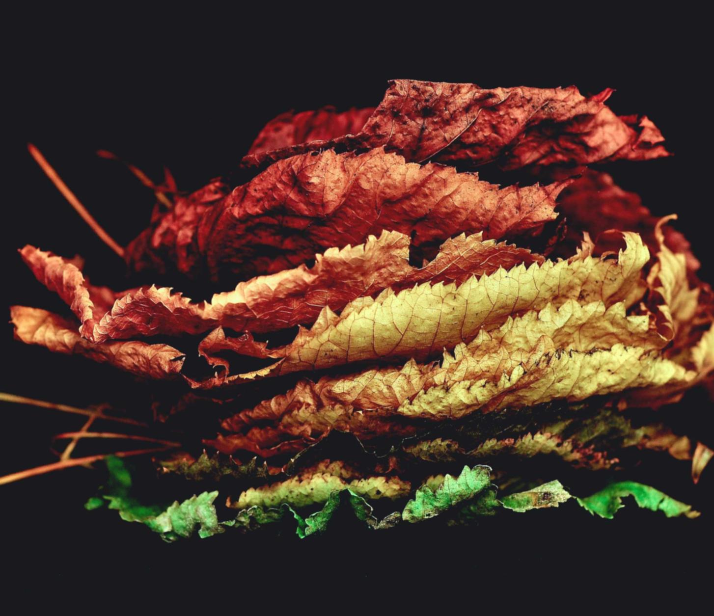 上海代理保安公司注册费用