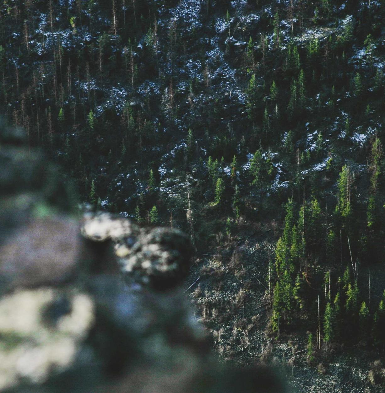 白号发卡网:注册章丘公司代理记账