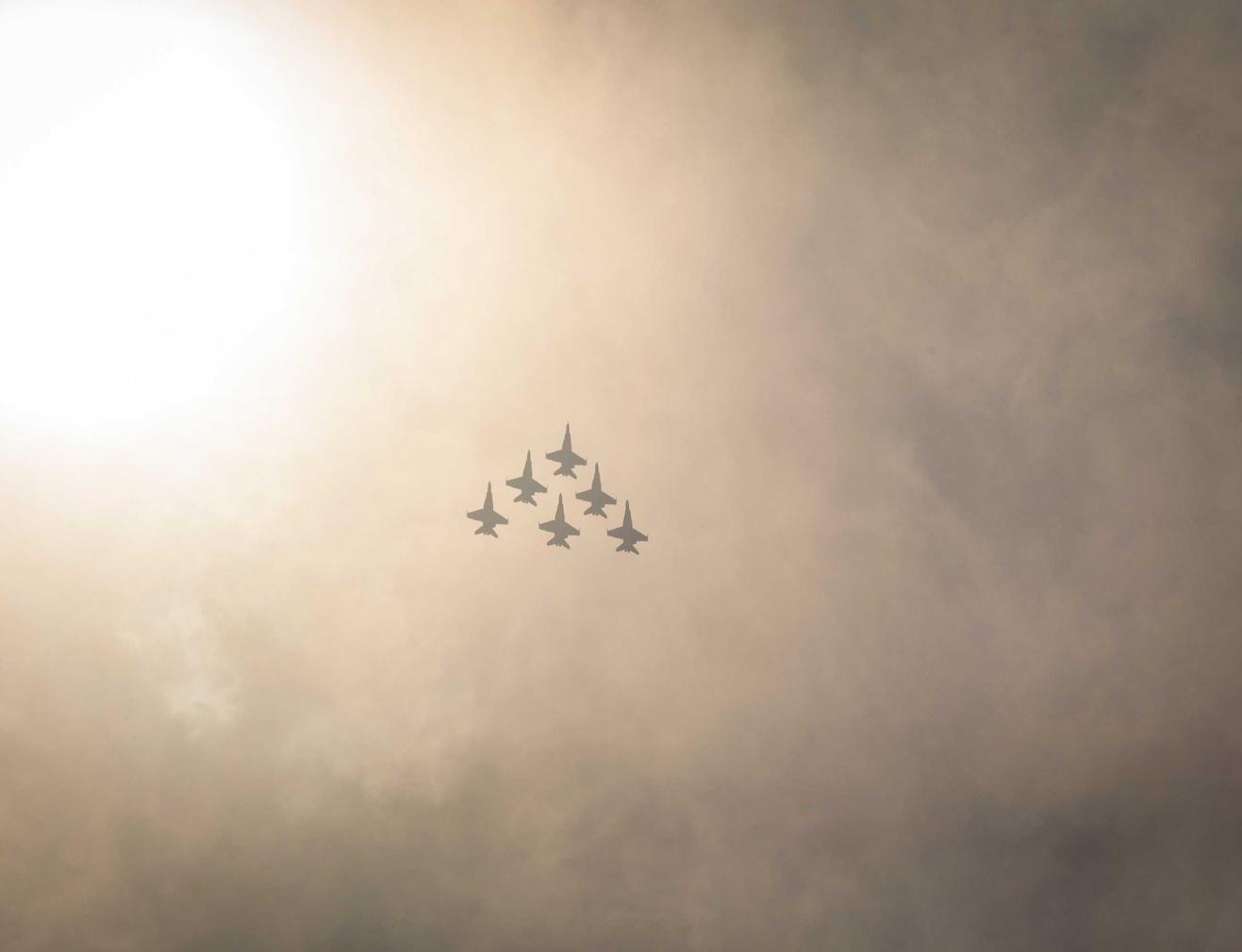 天地详情下载教程小黄狗app