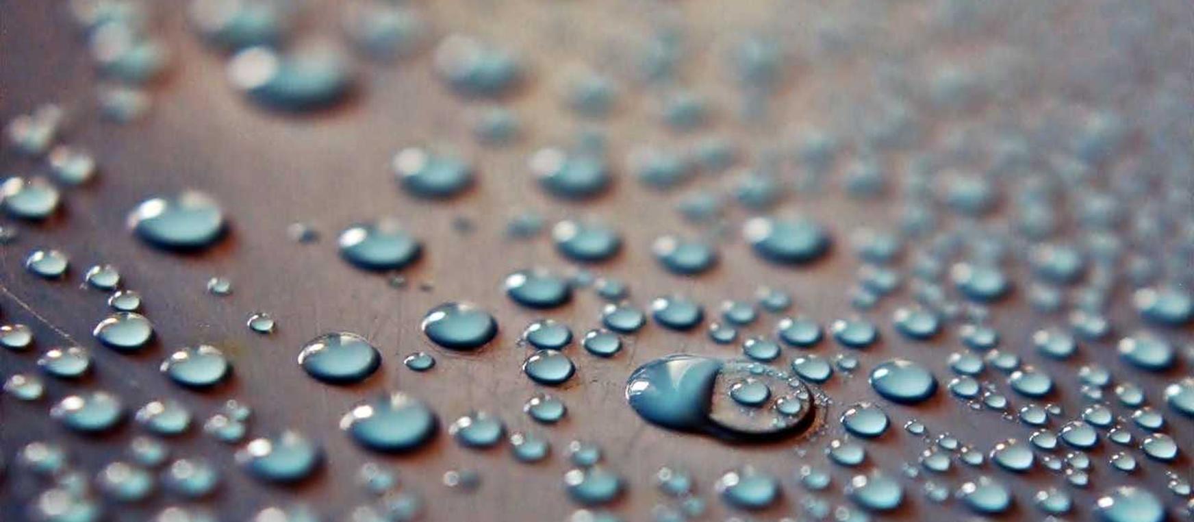 蓝冠qq运动app官网详情下载教程