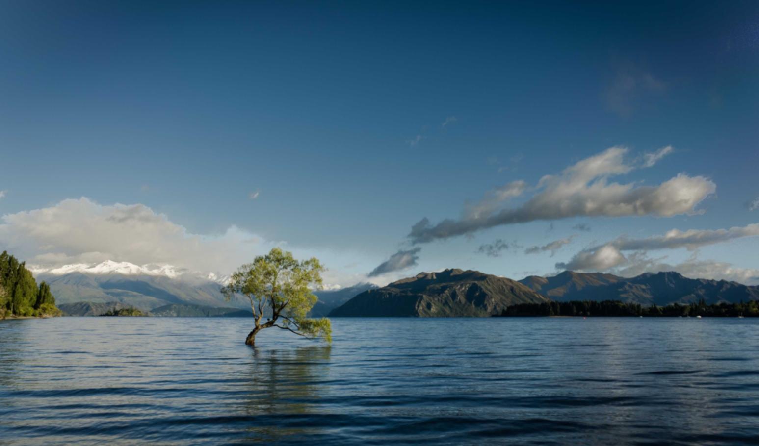 荣耀2建立高效率的销售团队，提高公司的业绩