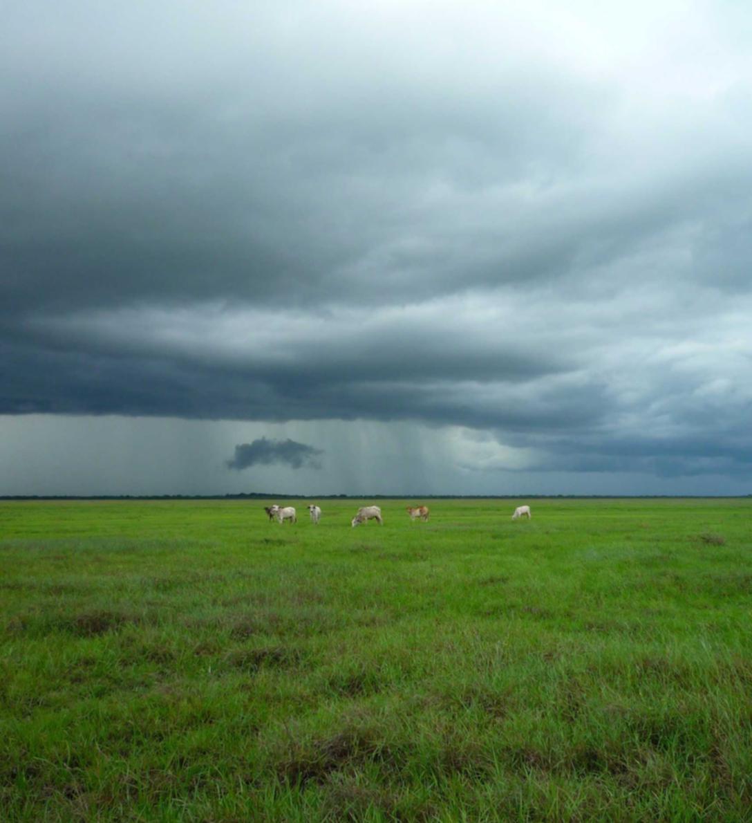 微信买卖小号：铜川书画购买平台