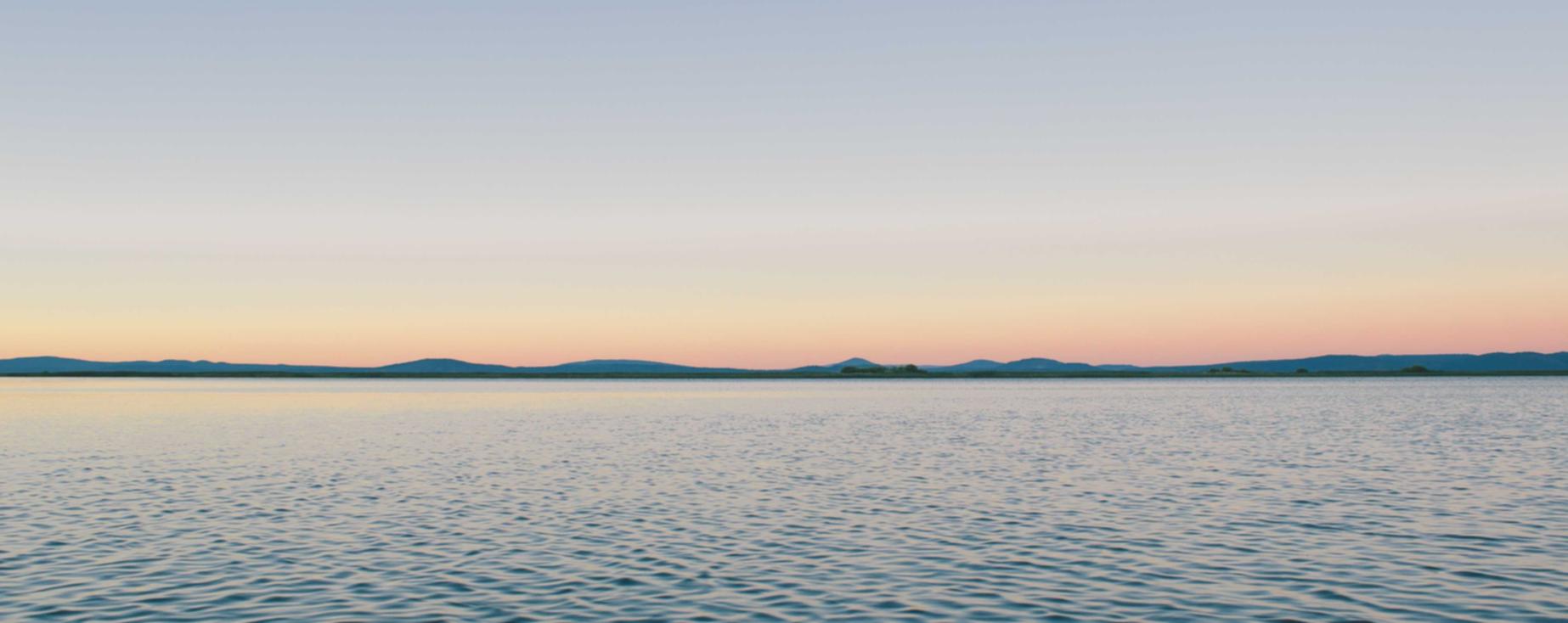 纯流量卡免实名：代理注册基金公司