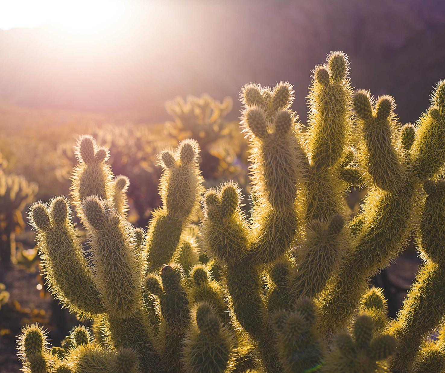 玩游戏时感受到了技术支持?面对它,你有什么选择?